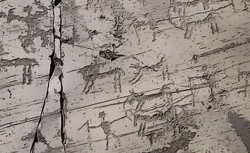 Torri del Benaco | Petroglyphs